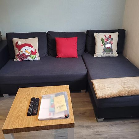 Appartement Au Cigogneau Wifi-Netflix-Balcon-Parking เมาสแตร์ ภายนอก รูปภาพ