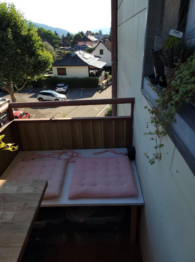 Appartement Au Cigogneau Wifi-Netflix-Balcon-Parking เมาสแตร์ ภายนอก รูปภาพ