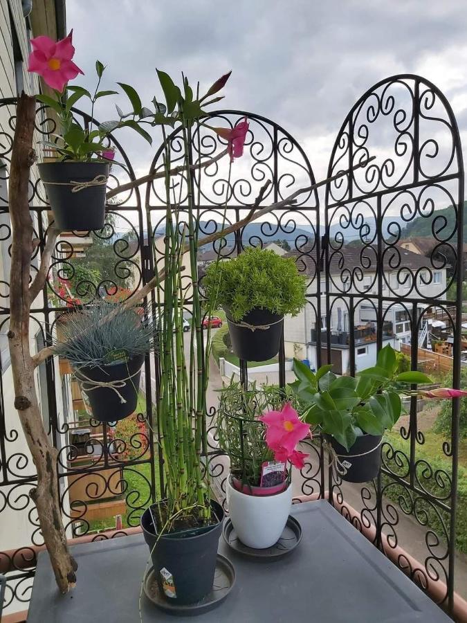 Appartement Au Cigogneau Wifi-Netflix-Balcon-Parking เมาสแตร์ ภายนอก รูปภาพ